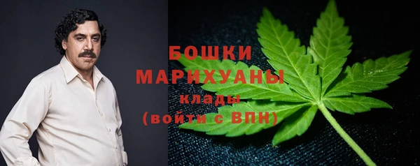 дурь Алзамай