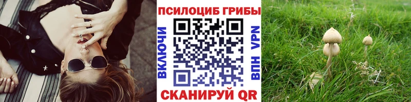 Псилоцибиновые грибы мухоморы  Чишмы 